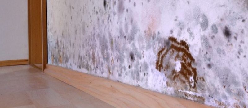 Comment savoir si l’humidité vient du mur