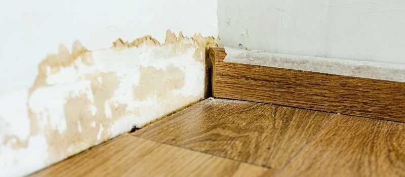 Comment savoir si l’humidité vient du sol ?