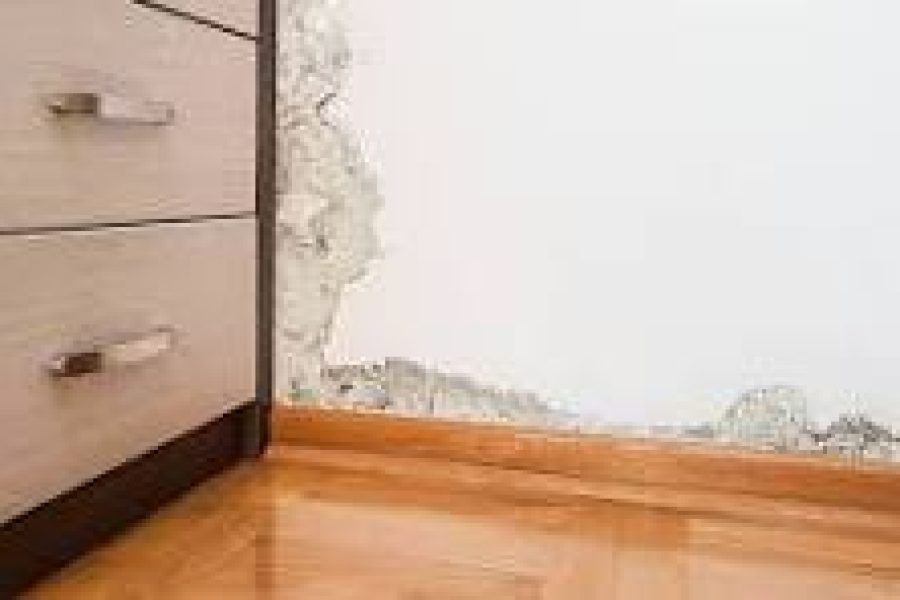 moisissures derrière les meubles