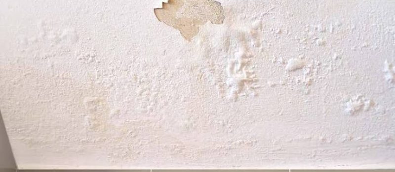 peinture qui s'ecaille